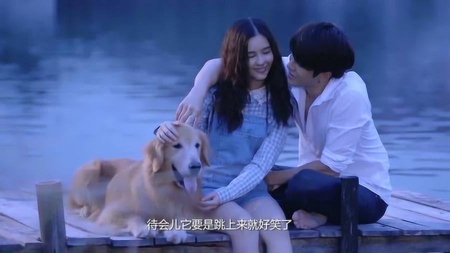 被困的狮王逃生3